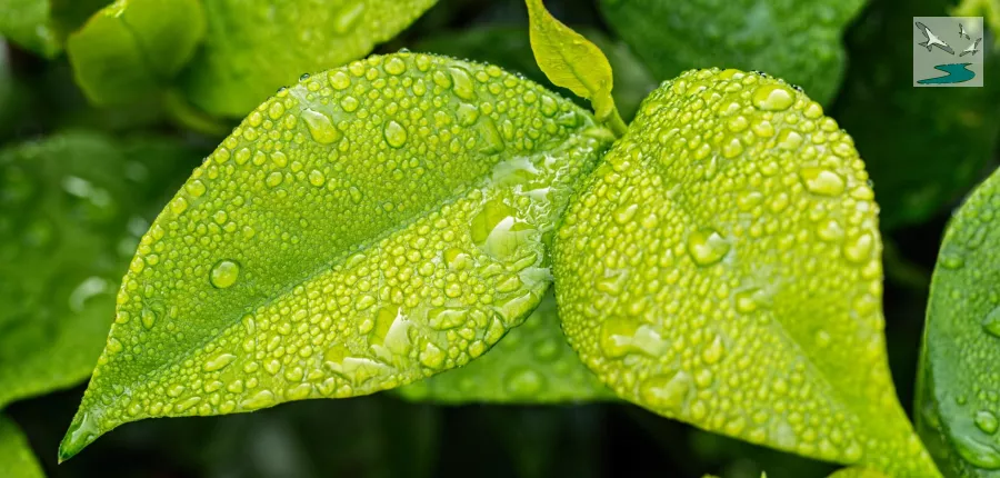 Nos petits gestes pour la planète