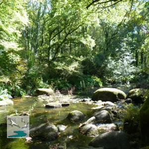 arrière pays de Lorient