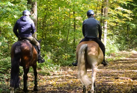 Centre équestre balade à cheval