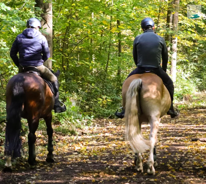 Centre équestre balade à cheval